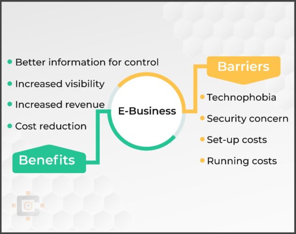 E-Business Benefits and Barriers