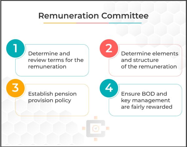 Remuneration Committee