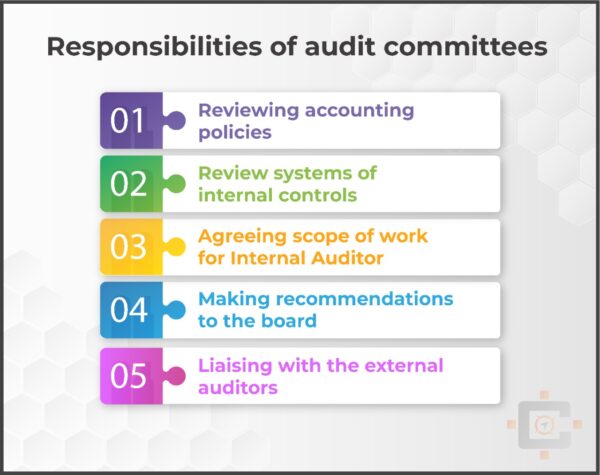 Responsibilities of Audit Committees