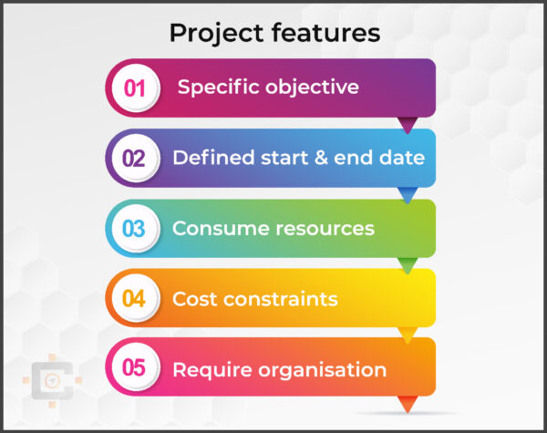 Project Features